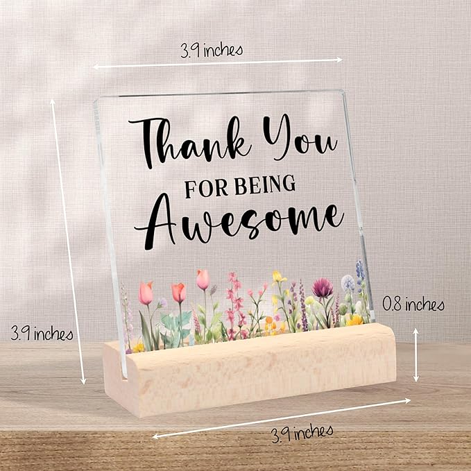 Thank You Gifts for Women, Inspirational Gifts Farewell Gifts for Coworkers Appreciation Gifts for Coworkers Employee Teachers Nurse Friends, Thank You for Being Awesome Clear Desk Decorative Sign