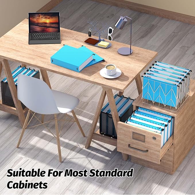 Extra Capacity Plastic Hanging File Folders,12 Pack Reinforced Hang Folders,Heavy Duty 2 Inch Expansion,Plastic Filing Cabinet Folders,Letter Size,Designed for Bulk Files, Medical Charts,Blue