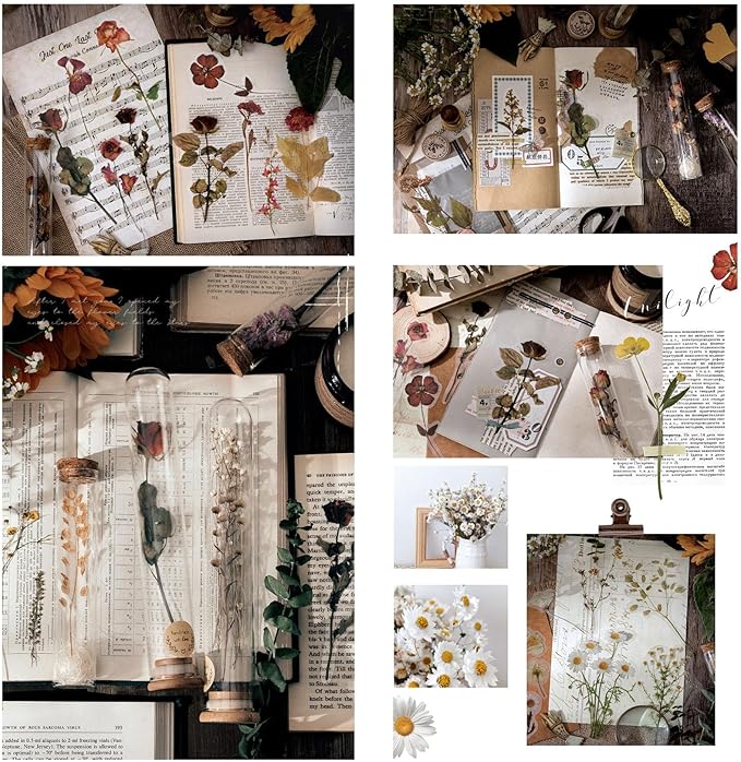 Maxleaf Botanic Series Sticker, 80PCS Large Dried Flowers Waterproof Transparent Stickers, PET Nature Plant Floral Stickers for Journaling Scrapbooking, Clear Flower Decals