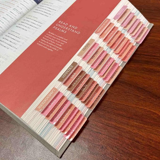 Thinkor Reposition Laminated Bible Tabs, Large Print Stickers, Easy to Read & Apply Bible Tabs for Women & Man (Spring Pink)