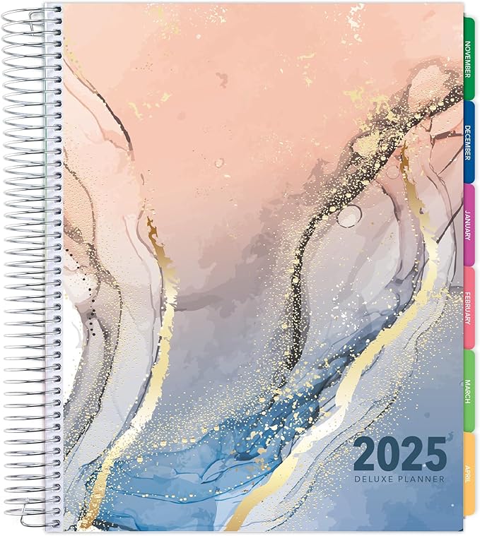 Deluxe 2025 Planner, 8.5"x11": 14 Months (November 2024 - December 2025), Includes Page Tabs, Bookmark, Planning Stickers, Pocket Folder Daily Weekly Monthly Planner Yearly Agenda (Colorful Marble)