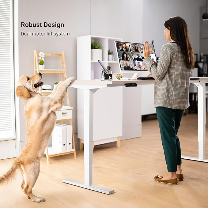 Progressive Desk Stand Up Adjustable Height Electric Standing Desk - 72" x 30" Dual Motor Table for Computer Home Office Workstation - Gray Frame, Bright Beech