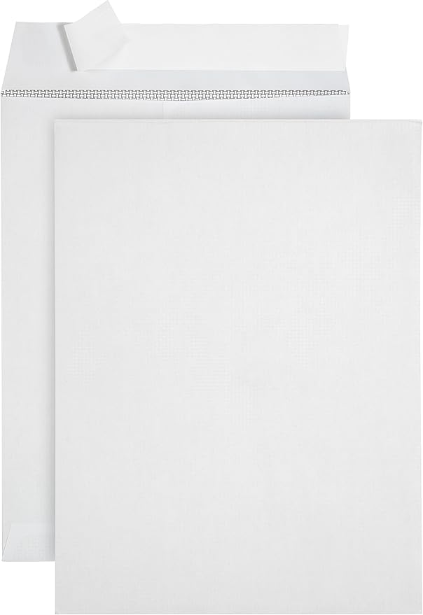 250 6 X 9 Self Seal Security Catalog Envelopes, Designed for Secure Mailing, Securely Holds Small Booklets, Catalogs, Cards, or Brochures with Strong Peel and Seal Flap, 250 Envelopes