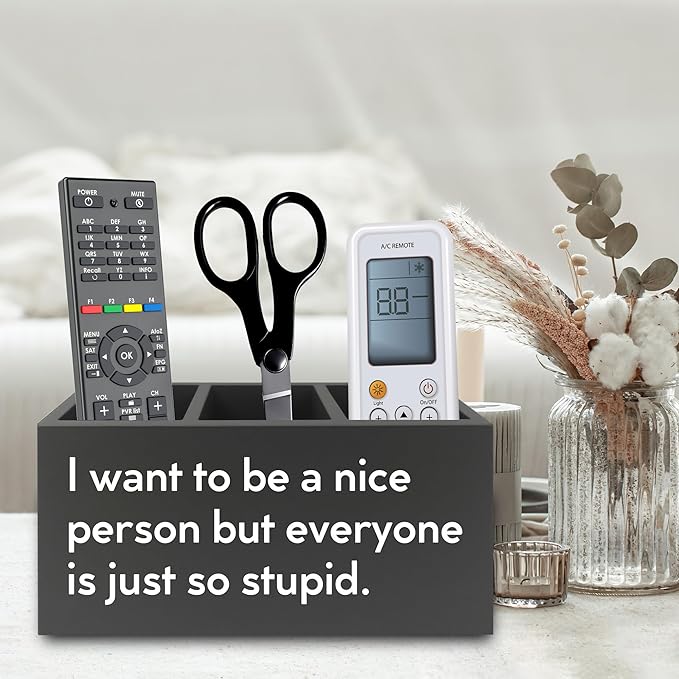 Funny Pen Pencil Holder Organizer for Desk, Sarcastic Gifts for Women Men Coworkers, Office Humor Gifts, Funny Wooden Box Sign for Home Office Desk Tabletop Decorations