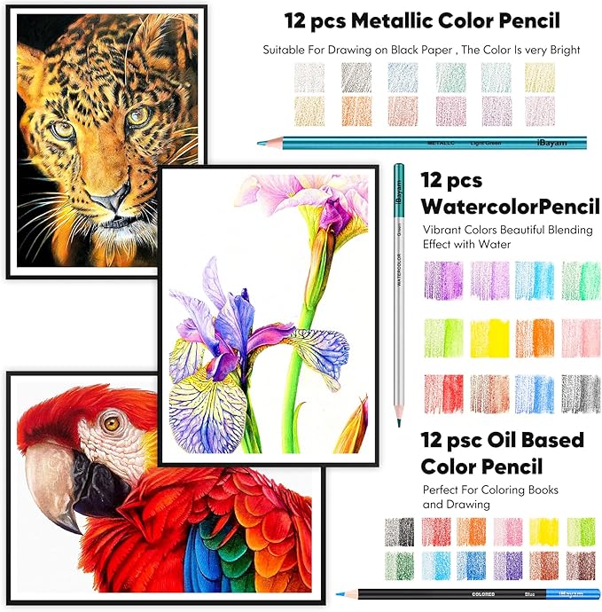 iBayam 78-Pack Drawing Set Sketching Kit Art Supplies for Adult Kids, Christmas Gifts for Teen Girls, with 3-Color Sketchbook, Coloring Book, Colored, Graphite, Charcoal, Watercolor & Metallic Pencil