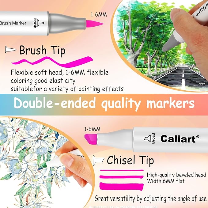 Caliart Markers Brush Tip & Chisel, 168 Colors Dual Tip Alcohol Markers for Adults Coloring Book, Permanent Art Pen Set for Professional Artists Illustration Sketch Drawing Gifts