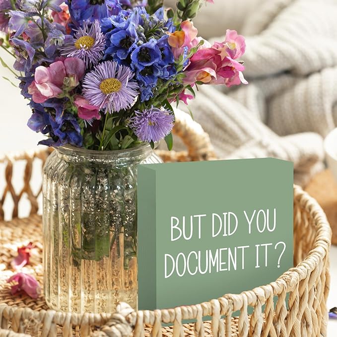 Sage Green Office Desk Accessories Decor Sign - Funny Office Wood Box Sign But Did You Document It Wooden Box Plaque Decorative