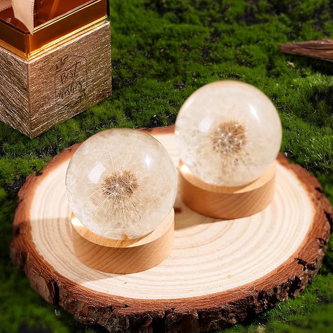 Dandelion Resin Paperweight – Real Dandelion Wish Ball, Unique Home & Office Decor, Symbol of Luck & Appreciation, A Thoughtful Gift & Keepsake for Birthdays, Weddings & Graduations