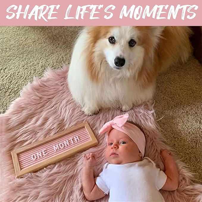 Felt Like Sharing Small Letter Board (Light Pink Felt - 10”x3.5”) – Changeable Message Board with 3 Sets of Felt Board Letters – Statement Wall Sign for Quotes, Home or Holiday Decor In Oak Frame