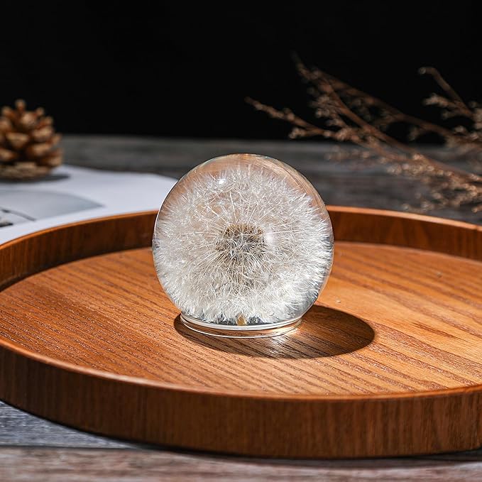 Dandelion Paperweight – Real Dandelion in Crystal Glass Ball, Unique Gift & Home Office Decor, Symbol of Luck, Hope, and Wishes for Birthday, Graduation, Wedding