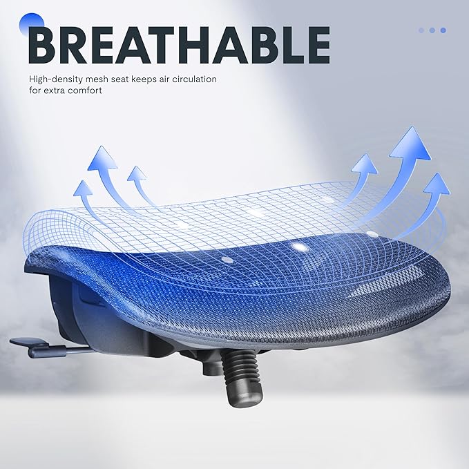 FLEXISPOT Ergonomic Office Chair, High Back Mesh Swivel Computer Chair, Executive Office Desk Chairs, with Adjustable Lumbar Support/2D Headrest/Lockable Backrest, OC3 Mesh Seat, Gray