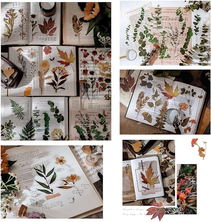 Maxleaf Botanic Series Sticker, 80PCS Large Dried Flowers Waterproof Transparent Stickers, PET Nature Plant Floral Stickers for Journaling Scrapbooking, Clear Flower Decals