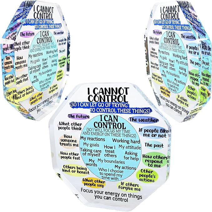 Ewong Things I Can Control Mental Health Decor, Acrylic Sign for Therapist Office, School Counselor, Psychologist Room Art Decoration, Therapy Desk Plaque for Bedroom Classroom (Octagon-Blue)