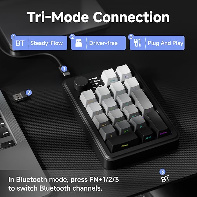 EWEADN NK20 Wireless Retro Mechanical Numpad with Knob, Bluetooth/2.4GHz/USB-C Connect with RGB Backlight Hot Swappable Number Pad, 20-Key Rechargeable External Num Pad for Win, Mac, Black Gray