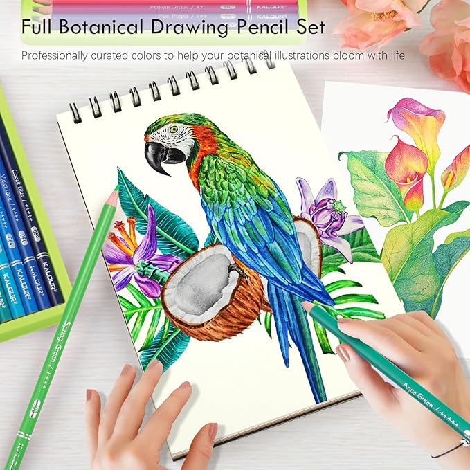 KALOUR PDAS 36-piece Green Botanical Colored Pencil Set, Pre-sharpened Wooden Colored Pencils for Adults Artists Beginners Coloring Books Drawing & Sketching