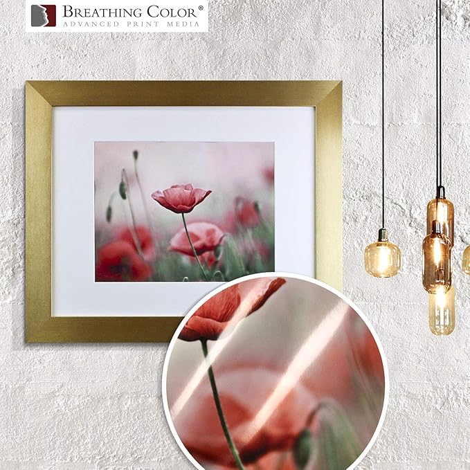 Vibrance Metallic Photo Printer Paper 10 mil 255 gsm Premium Photo Paper Roll 3in Core 24 inches x 100 feet Works with Most Inkjet Printers Including Professional Makes and Models Like Epson Canon HP