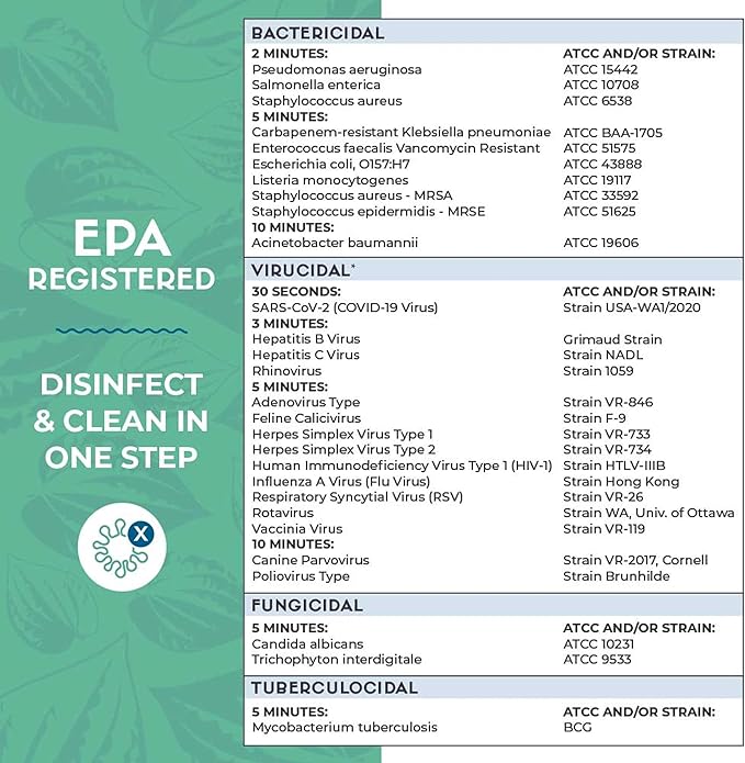 Zogics ecoPRO Plant-Based Disinfecting Wipes – Eco Friendly Wipes for Cleaning and Disinfecting Surfaces, Durable, Gentle, & Effective (Pack of 4)