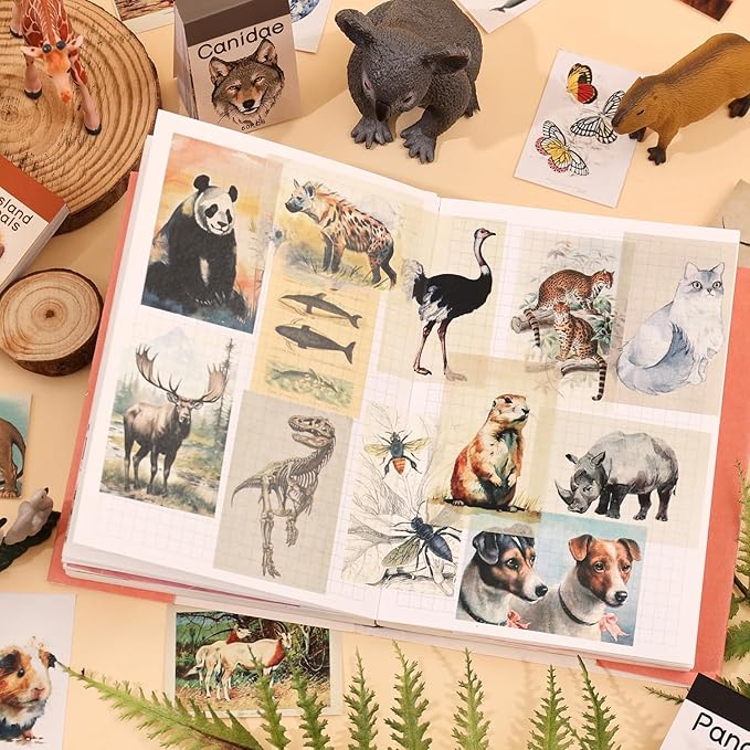 12 Sets 600 Sheets Washi Stickers Book for Journaling, Jungle Animal Sticker, Wild Zoo Sea Animal Aesthetic Scrapbook Dinosaur Sticker Set for Bullet Journal Card Craft Gift Rewards for Kid Notebook