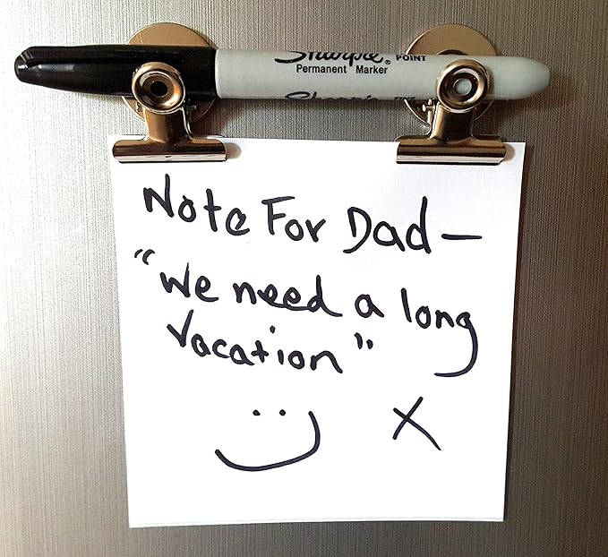 Mini Silver Refrigerator Magnet Hook Clips for Holding Photographs, Holding Business Cards, Office Organizing, Memo Note Clips, by Dondor (8)