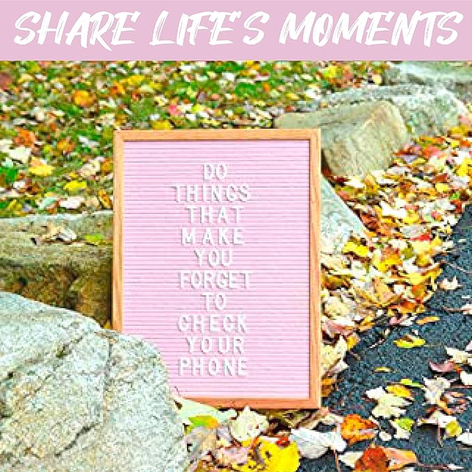 Felt Like Sharing Large Letter Board (Light Pink Felt - 12”x16”) – Changeable Message Board with 3 Sets of Felt Board Letters – Statement Wall Sign for Quotes, Home or Holiday Decor In Oak Frame