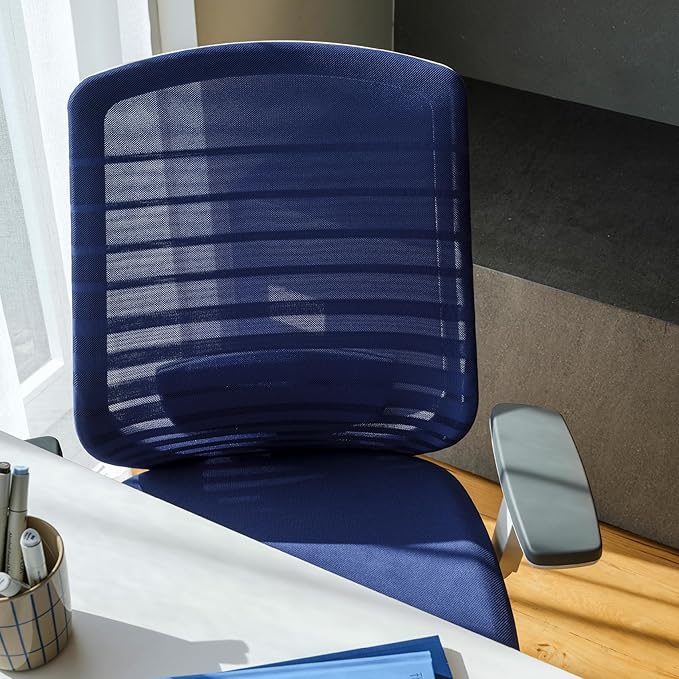 Branch Ergonomic Chair - A Versatile Desk Chair with Adjustable Lumbar Support, Breathable Mesh Backrest, and Smooth Wheels - Experience Optimal Comfort and Support - Baltic