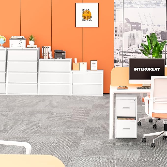 INTERGREAT 2 Drawer Lateral File Cabinet, White Office Filing Cabinet with Lock, 28" W Steel Wide Filing Organization Storage Drawers,Horizontal File Cabinets for Home Office,Letter/Legal/F4/A4