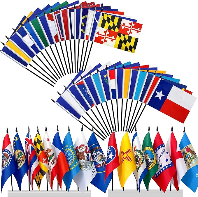 Consummate 50 State Flags Set Small Mini Hand Held Stick Flag,8.2 x 5.5 Inch