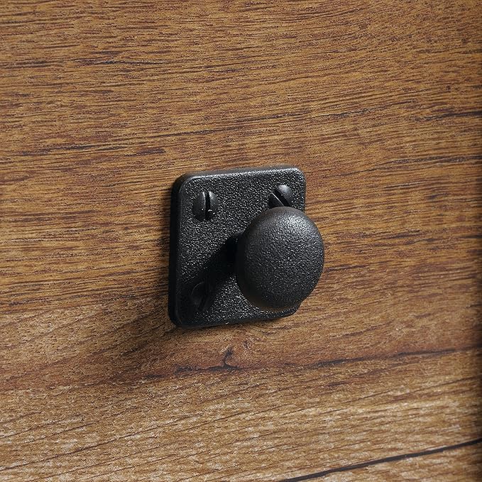 Sauder Palladia 2 Drawer File Cabinet, Lateral Filing Cabinets for Home Office, Hanging File Folders Organizer, Interlocking Drawers, in Vintage Oak Finish