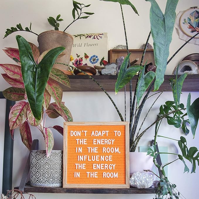 Neon Orange Felt Letter Board 10x10 inches. Changeable Letter Boards Include 300 White Plastic Letters & Oak Frame.